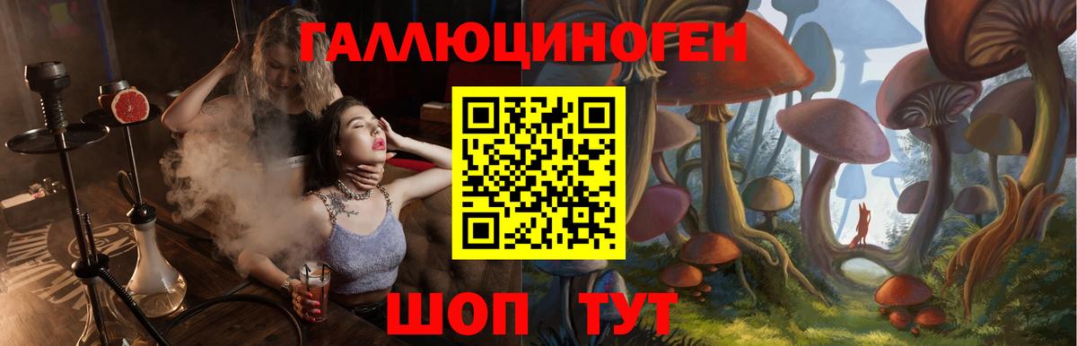 Каспийск  Галлюциногенные грибы ЛСД  Вход с VPN 